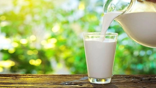 Sütün Sağlığımıza Olan Faydaları Nelerdir?